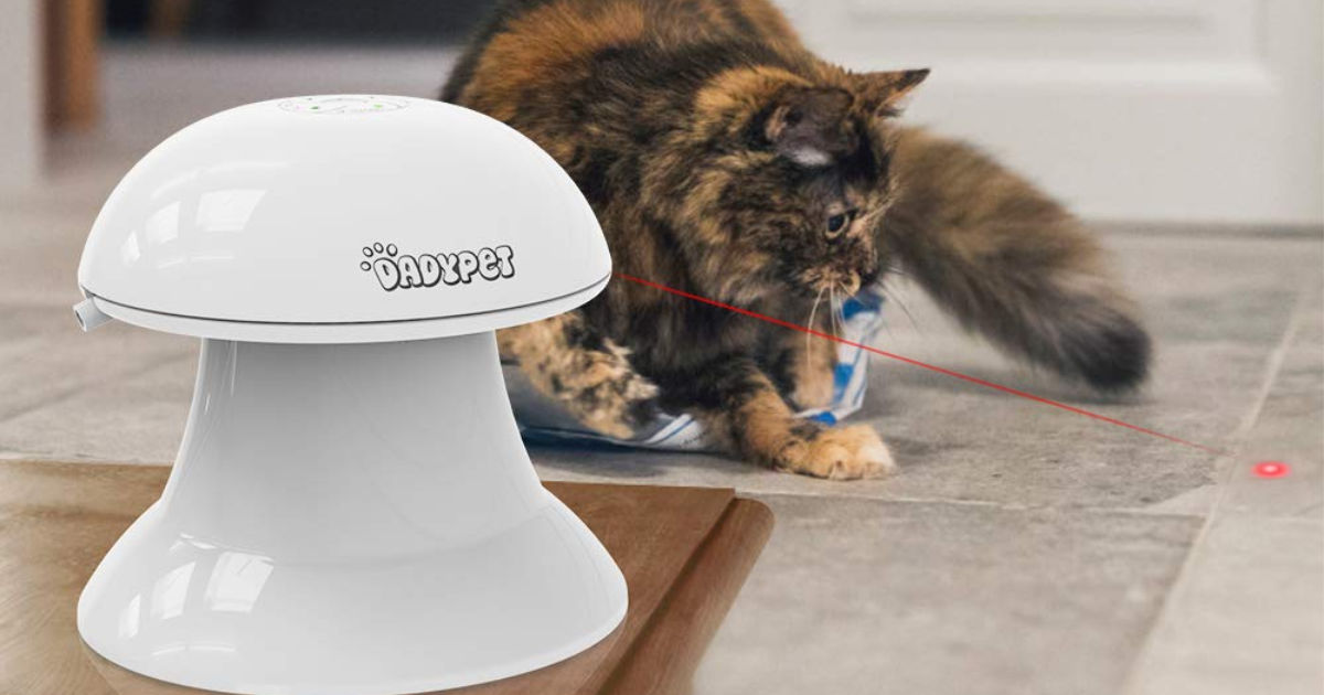Amazon 2in1 Laser Cat Toy Only 17.49