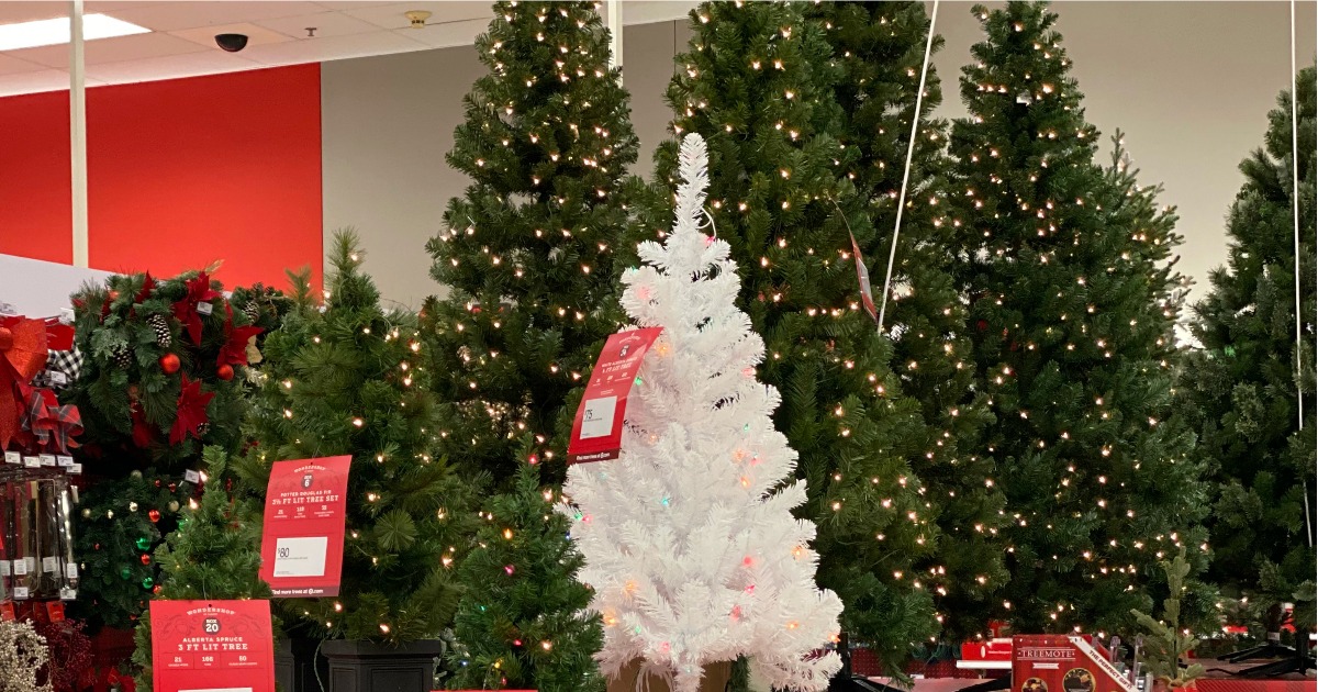 20 Off Trees, Lighting, & More at