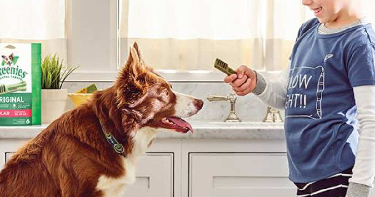 Greenies Dental Dog Treats 27oz Box Just 12.73 Shipped on Amazon