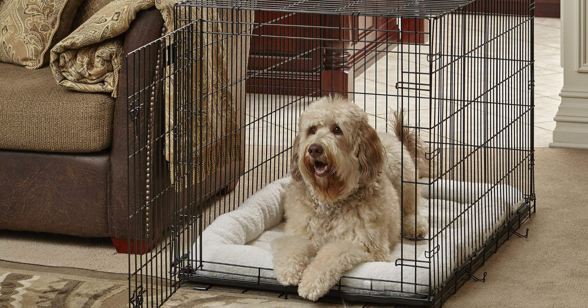 MidWest Homes for Pets 42Inch Dog Crate Only 30 Shipped at Amazon