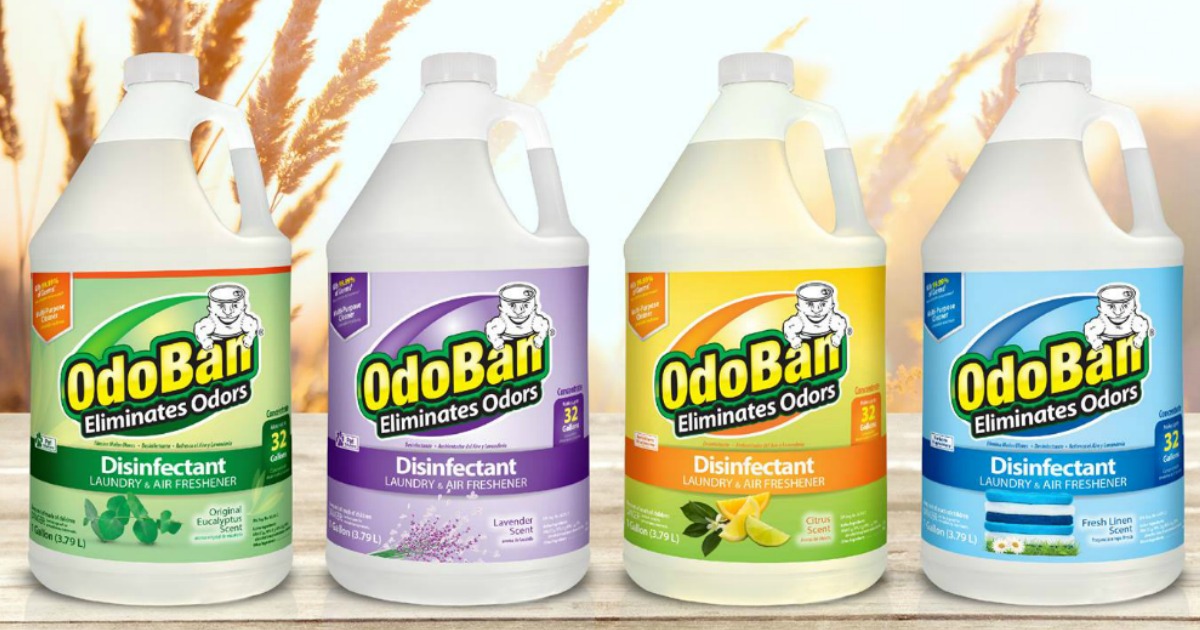 Odoban Multipurpose Cleaner Concentrate Gallon 2Pack Only 11.98 at