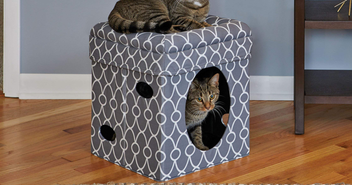 MidWest Curious Cat Cube Condo Only 16.99 at Amazon Hip2Save