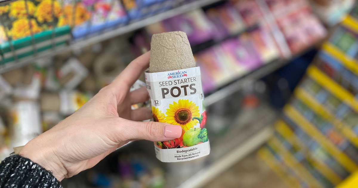 Starter Pots & More Just 1 at Dollar Tree Get a Head Start on Your