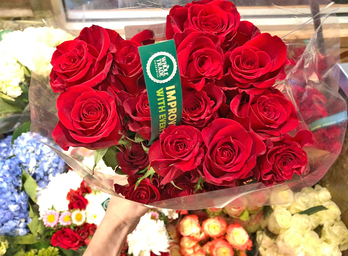 TWO Dozen Whole Foods Roses ONLY 24.99 for Prime Members (LastMinute