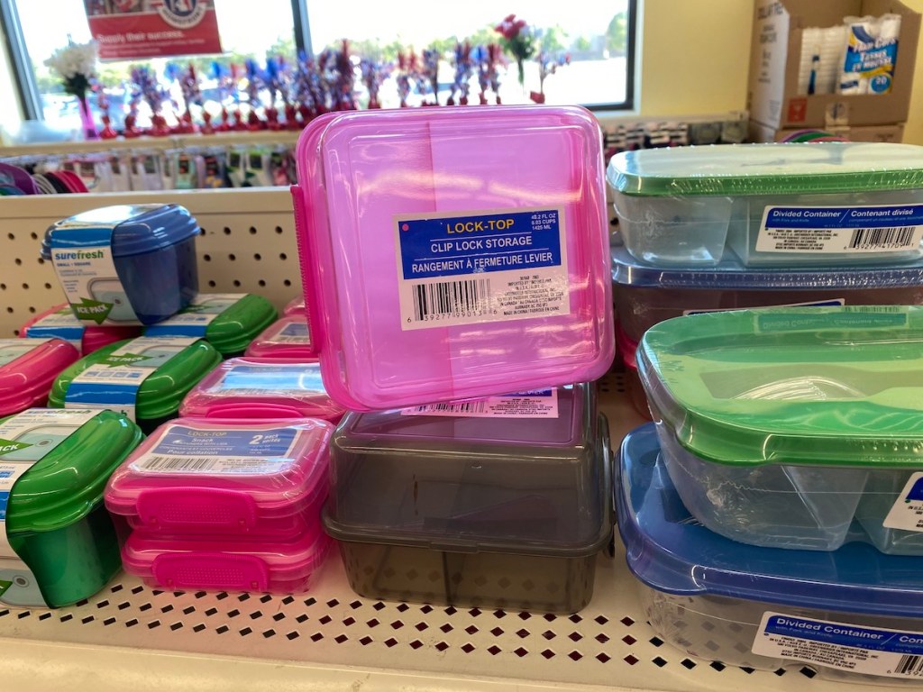 These Food Containers are Perfect for School Lunches & Only 1 Each at