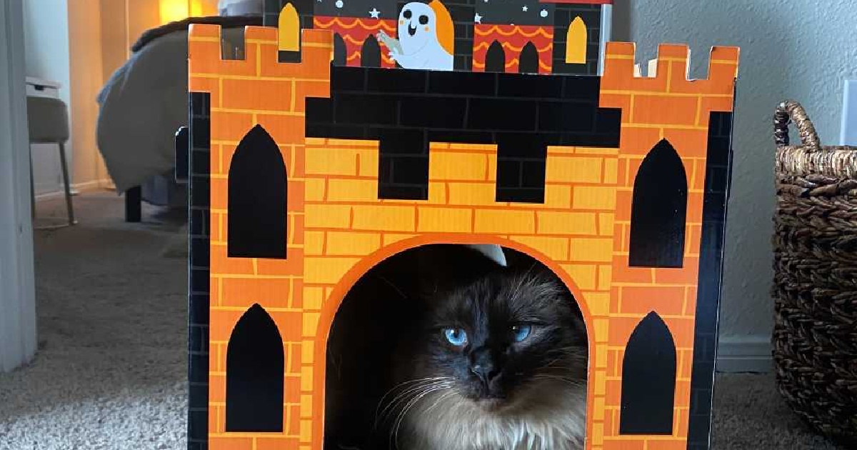 Halloween Cat Scratchers from 16.99 at Target Haunted House, Pumpkin