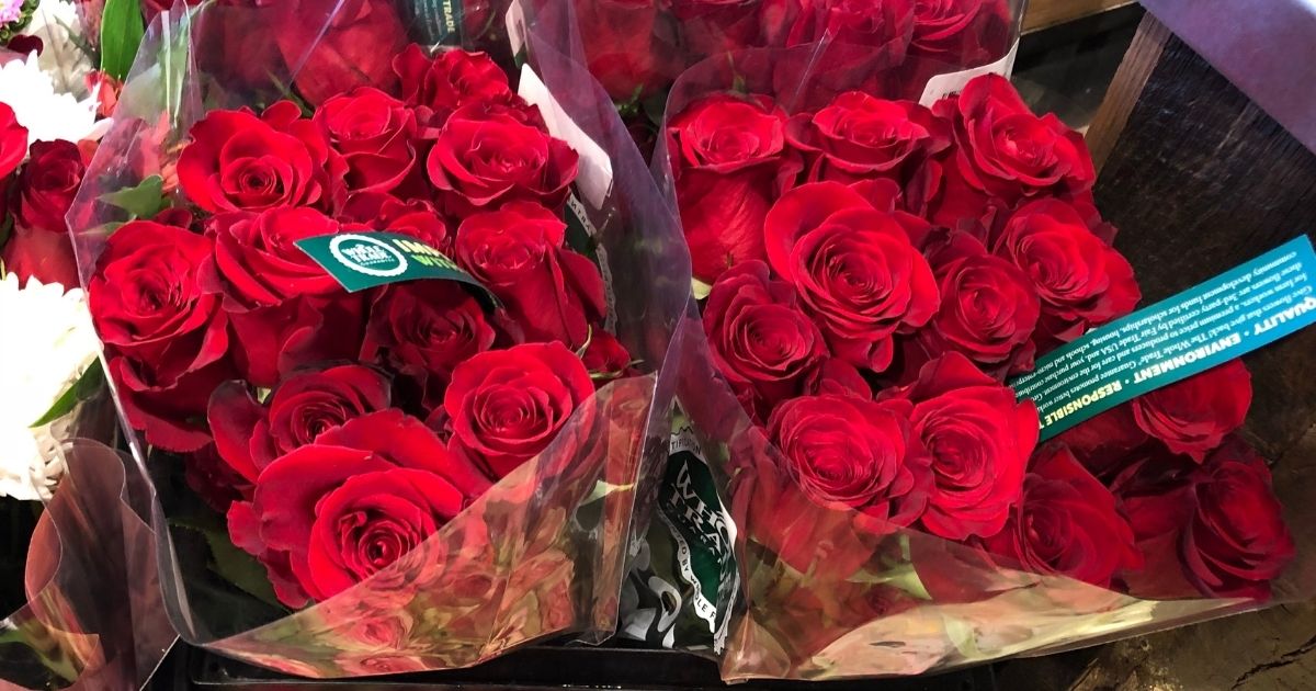 2 Dozen Roses Only 19.99 at Whole Foods for Amazon Prime Members