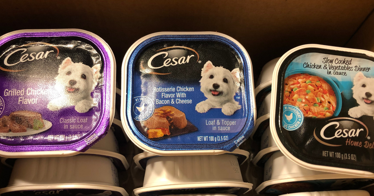Cesar Wet Dog Food 36Count Variety Pack from 7.40 Shipped on Amazon