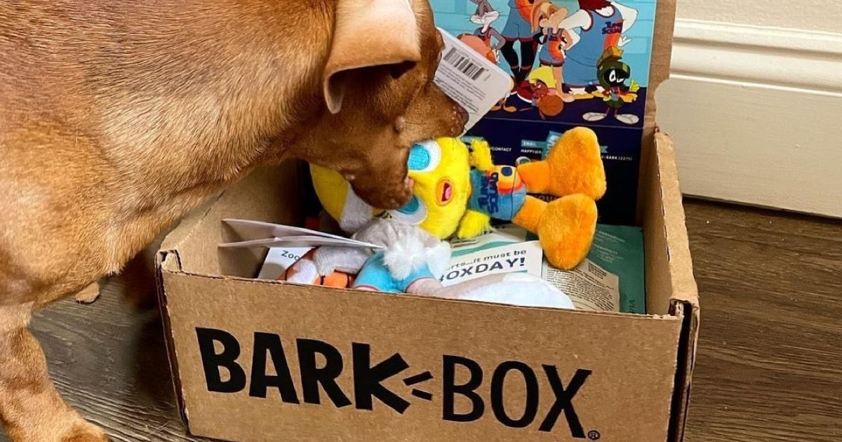 50 Off Dog Toys w/ BarkBox Subscription Latest Coupon on Hip2Save