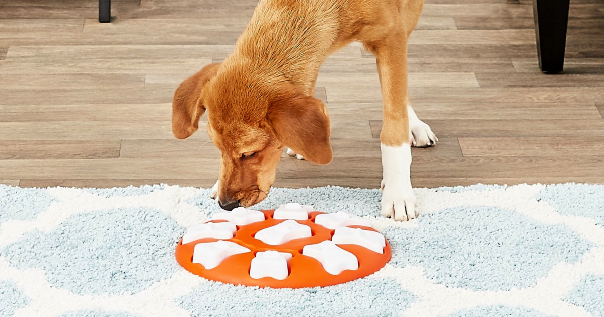 Highly Rated Dog Treat Dispenser Puzzle Toys from 7.50 on Amazon or (Regularly 15)