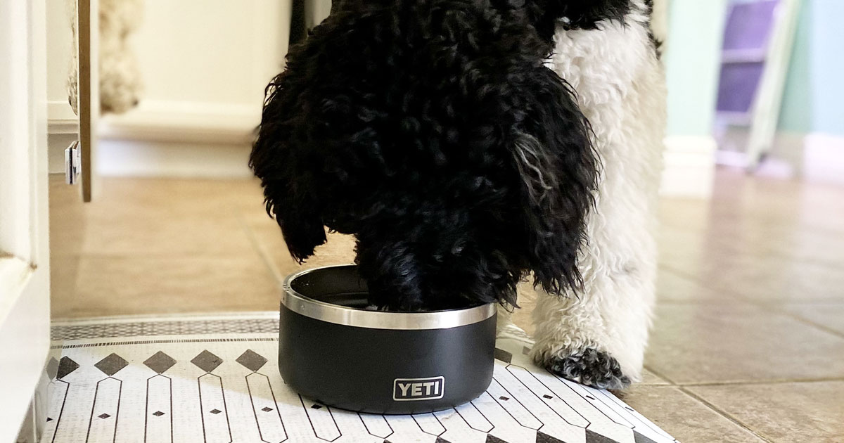 Order a Barkbox Super Chewer Box & Get a Free Yeti Dog Bowl