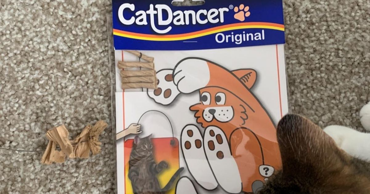 Cat Dancer Toy Just 1.67 Shipped on Amazon (Fun Way to Entertain Your