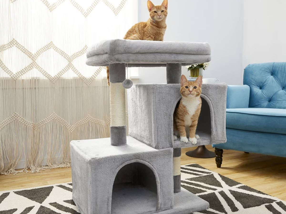 Cat Trees & Condos Only 29 Shipped on Many Styles & Colors