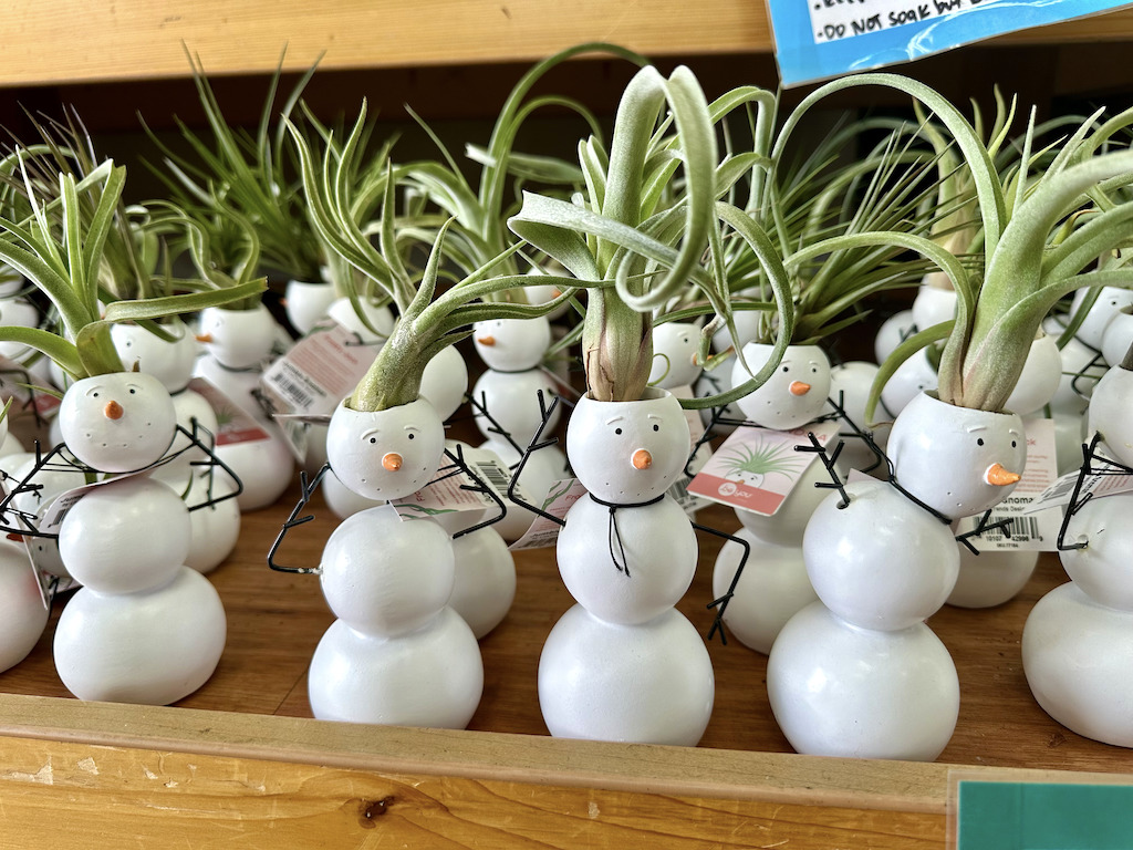 Over 25 New Trader Joe's Holiday Items We're Most Excited About! Hip2Save