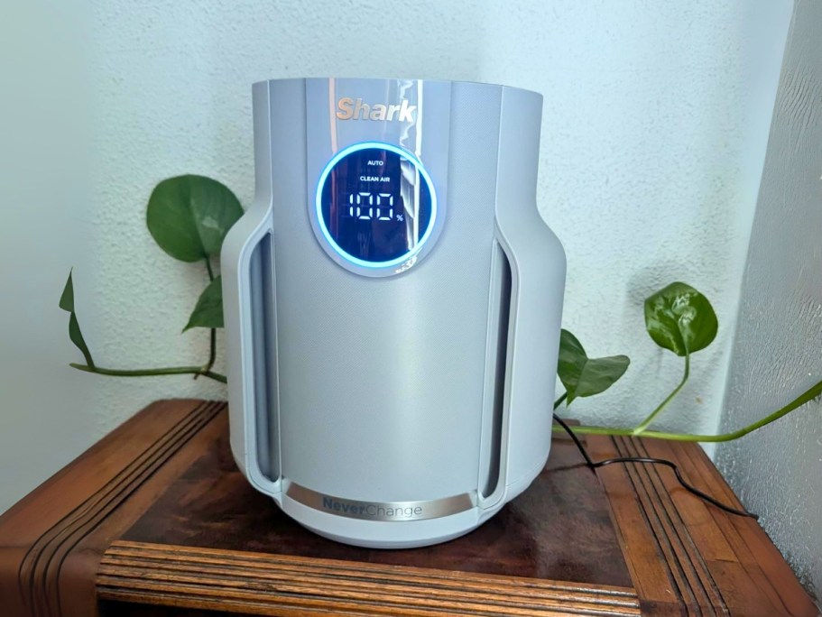 Shark Neverchange Air Purifier Just 9.99 Shipped on Amazon (The Filter Lasts 5 Years!) Shark Neverchange Air Purifier Just 9.99 Shipped on Amazon (The Filter Lasts 5 Years!)