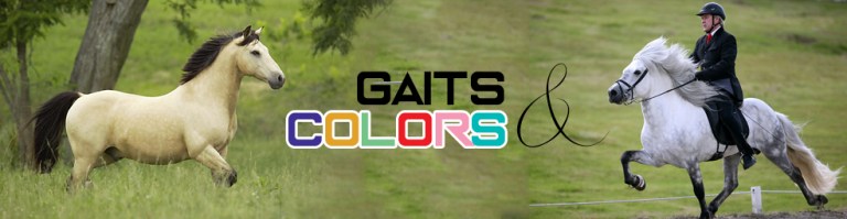 Small assignment 4 Gaits and Colors HippoDuo 20162017