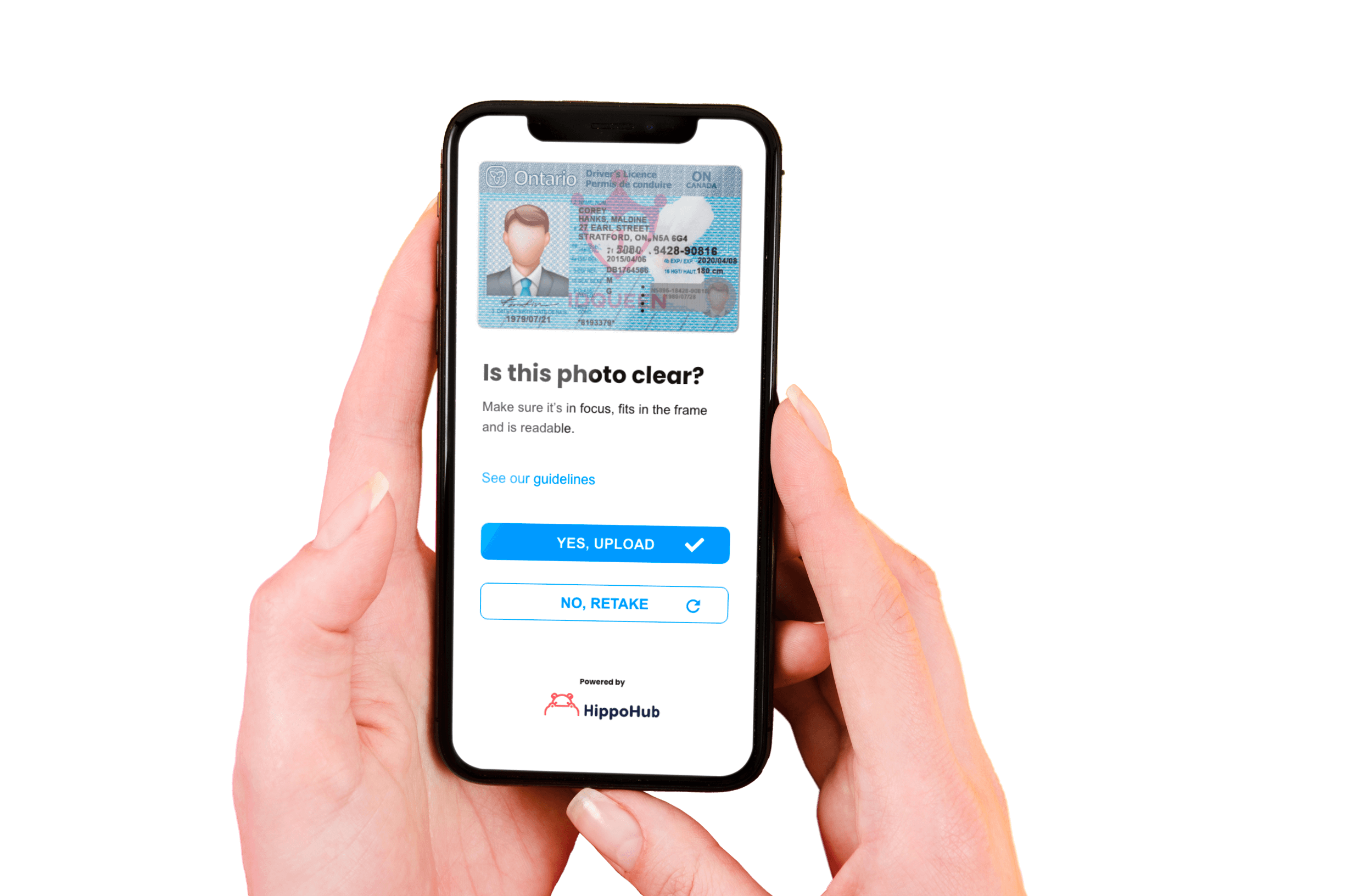 Driver License Verification HippoHub