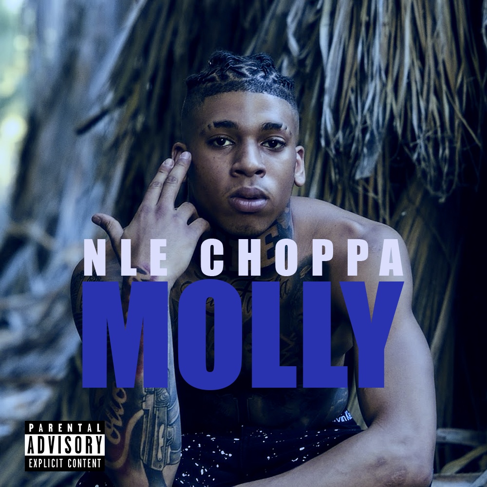 NLE Choppa Molly (Instrumental) (Prod. By Chapo & CashMoneyAP