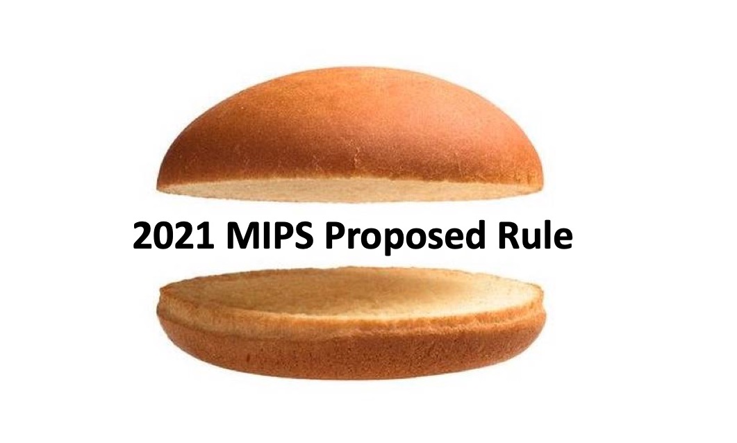2021 MIPS Proposed Rule HiQ Services LLC