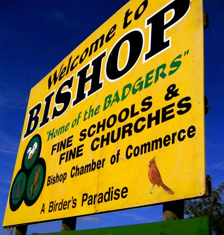 Texas Chamber of Commerce Our Community