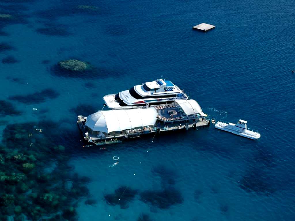 Norman Reef Great Barrier Reef Australia オーストラリア グレイトバリアリーフ ノーマンリーフ