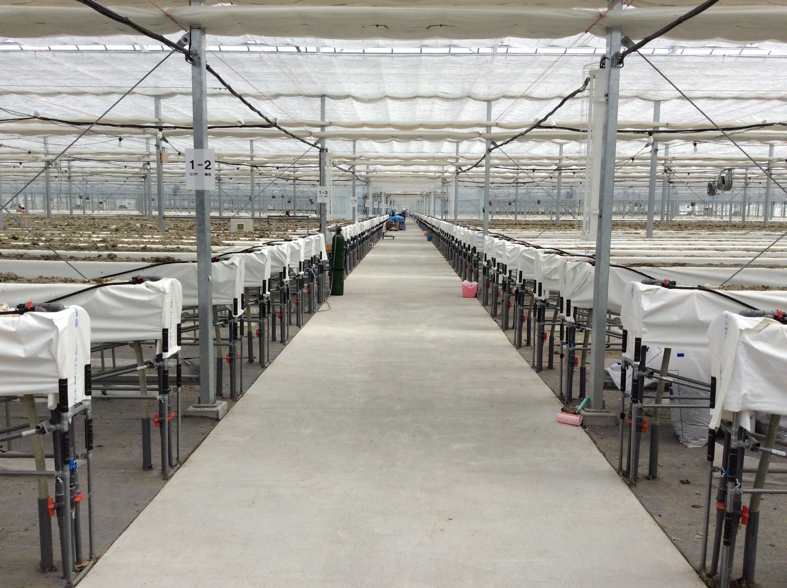 【活動報告 8月30日】苫小牧市・千歳市 次世代施設園芸拠点など視察 北海道議会議員 広田まゆみ公式ブログ