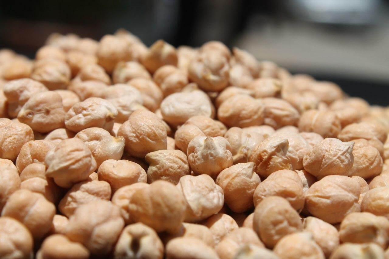 Kabuli Chickpeas Gondor Type hirut Import and Export