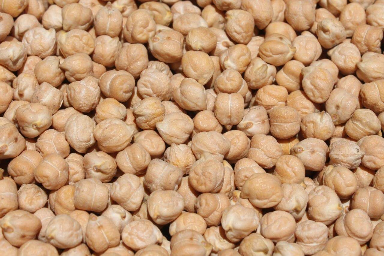 Kabuli Chickpeas Gondor Type hirut Import and Export
