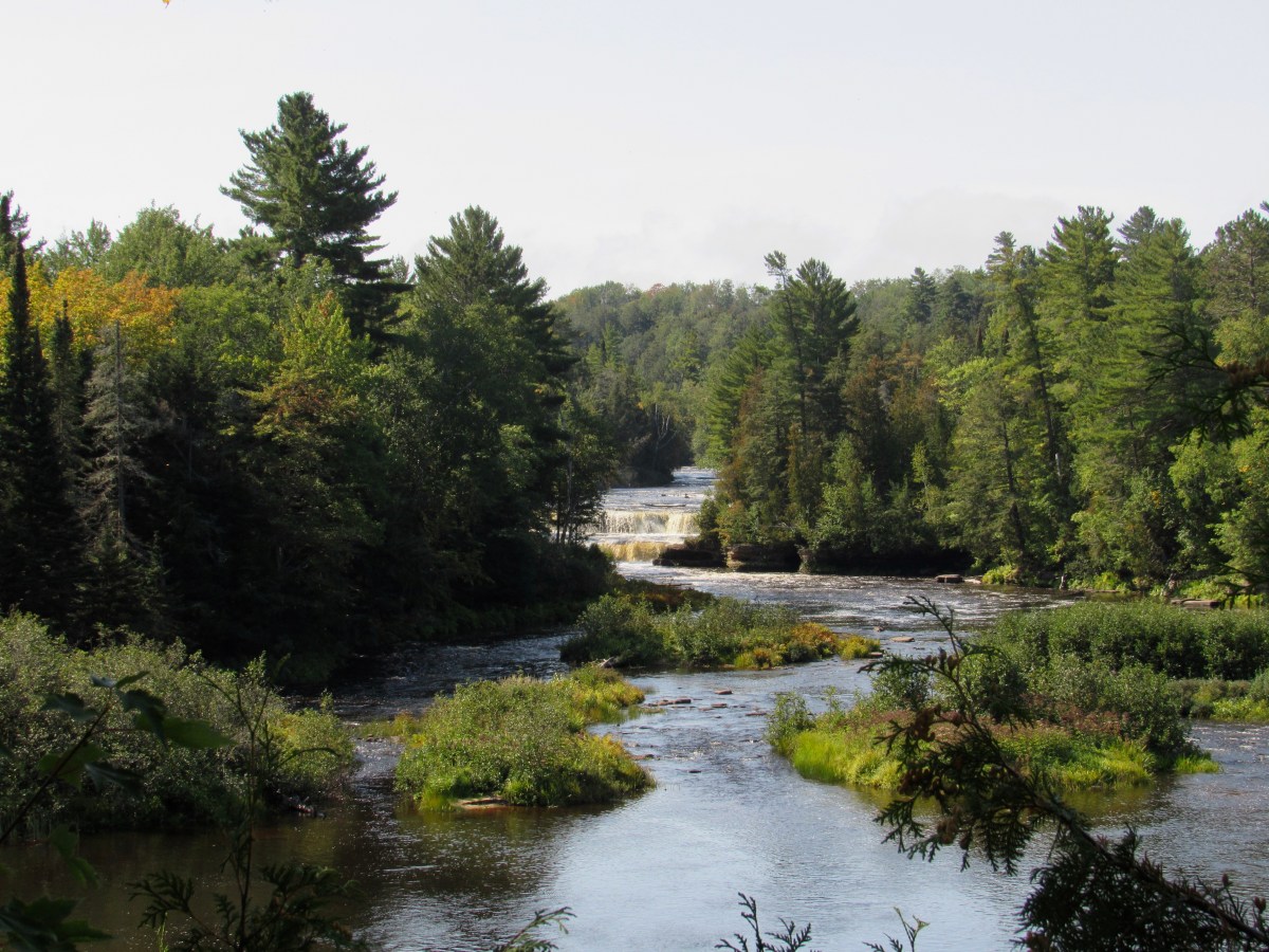 Hope in the Wilderness . . . . HisGlory SM