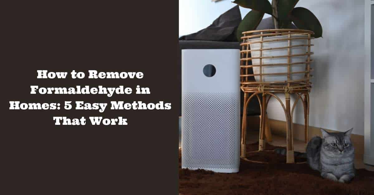 How to Remove Formaldehyde in Homes 5 Easy Methods That Work