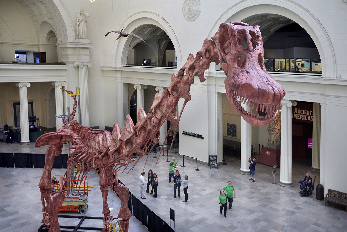 Biggest dinosaur ever discovered arrives at the Field Museum Hispanic