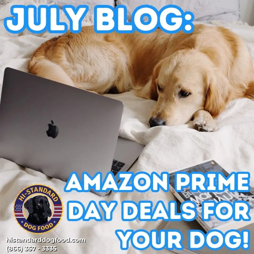 Amazon Prime Day Deals For Your Dog! HiStandard Dog Food