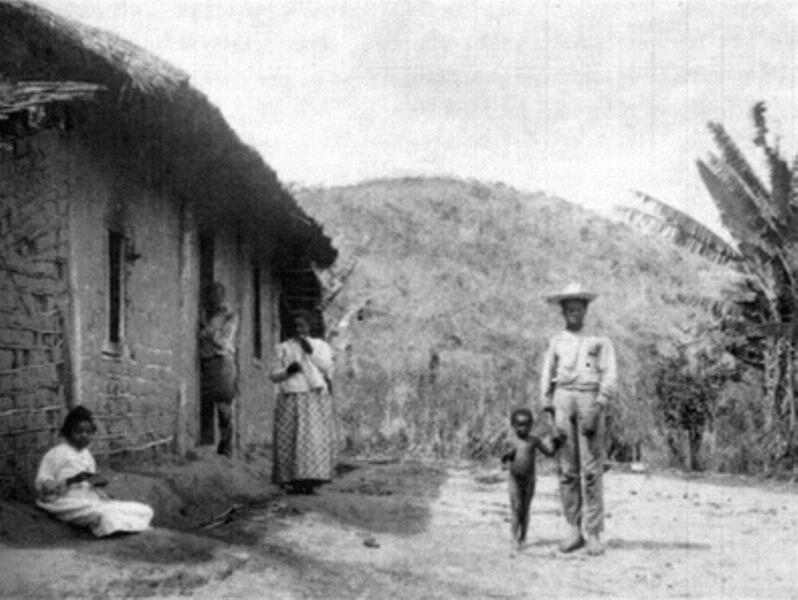 Brazilian history Independent Brazil's Economic Development