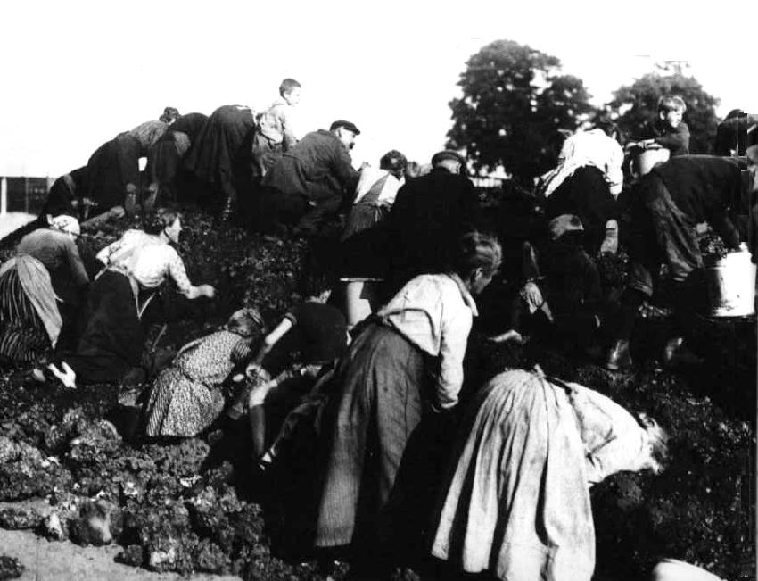 Germany In Depression