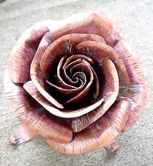 Copper Rose June 11, 2022