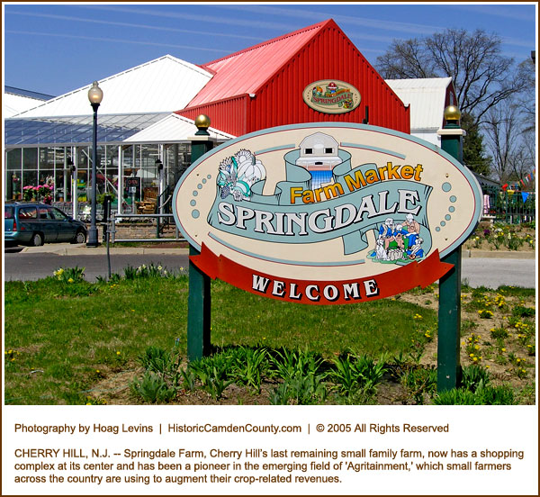 Springdale Farm Receives Historic Preservation Award