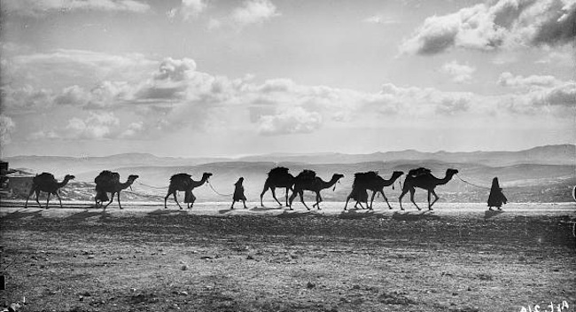 G. Eric Matson, Photographer at Historic Camera