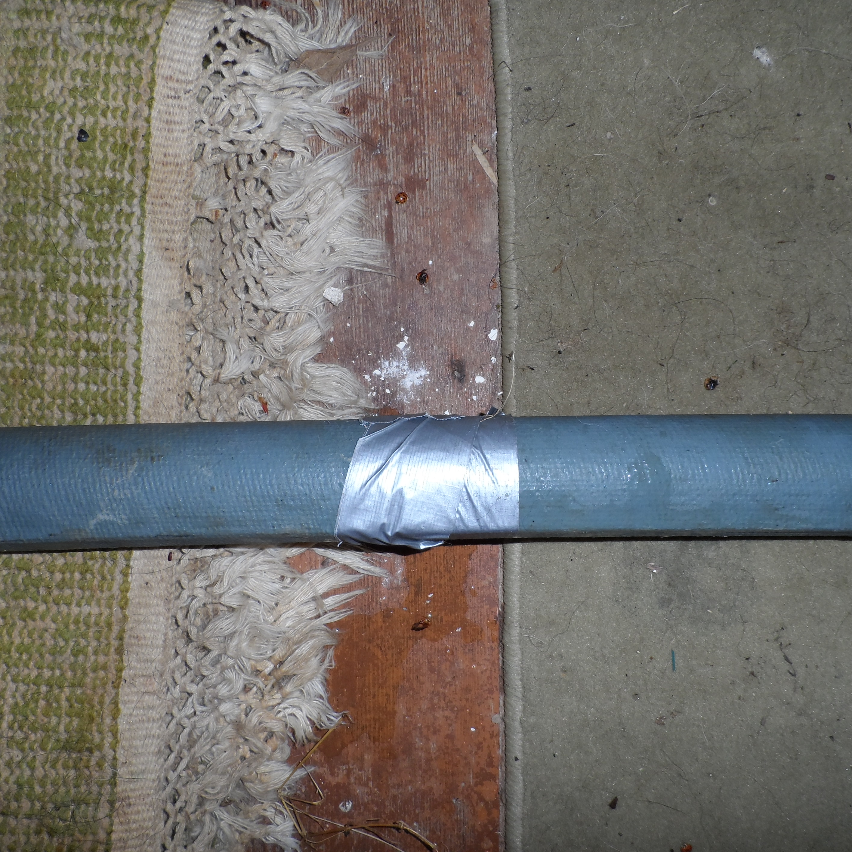 List 97+ Pictures Sam Leman Morton Used Cars Stunning