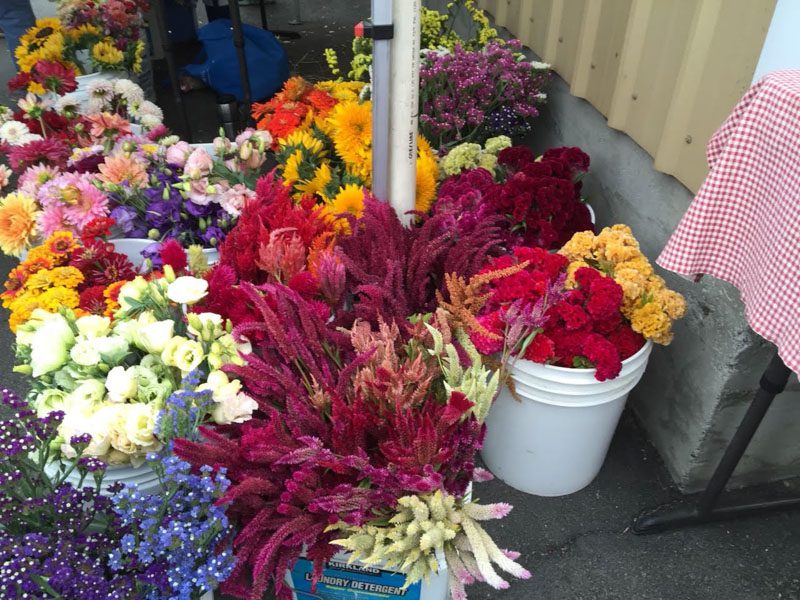 Prosser Farmers Market Local Prosser, WA Events