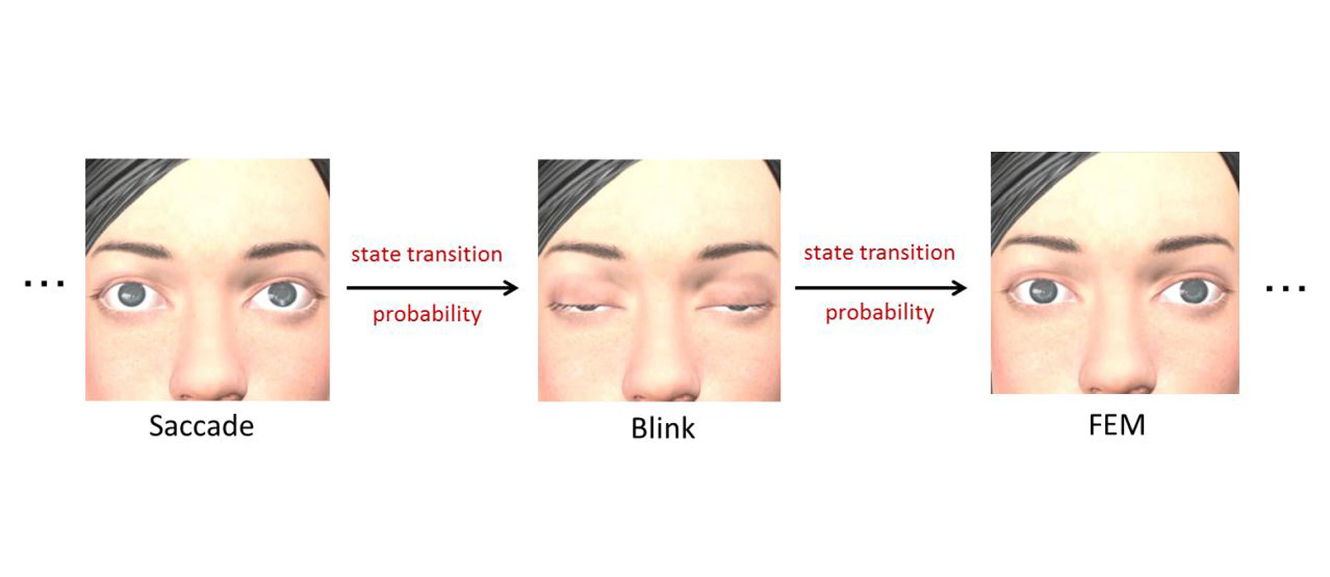 “Generating Eye Movement during Conversations Using Markov Process” by