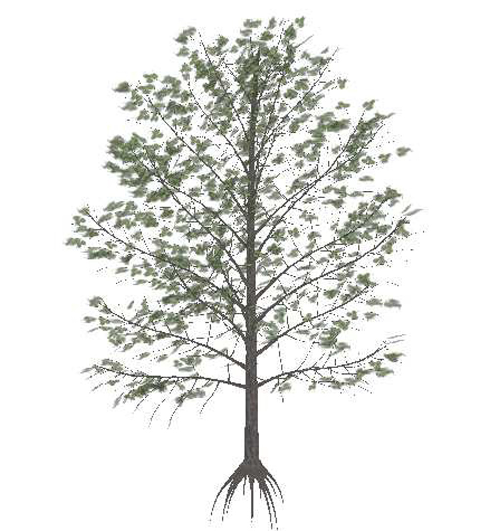 “Tree model simplification for fast interactive rendering” – ACM