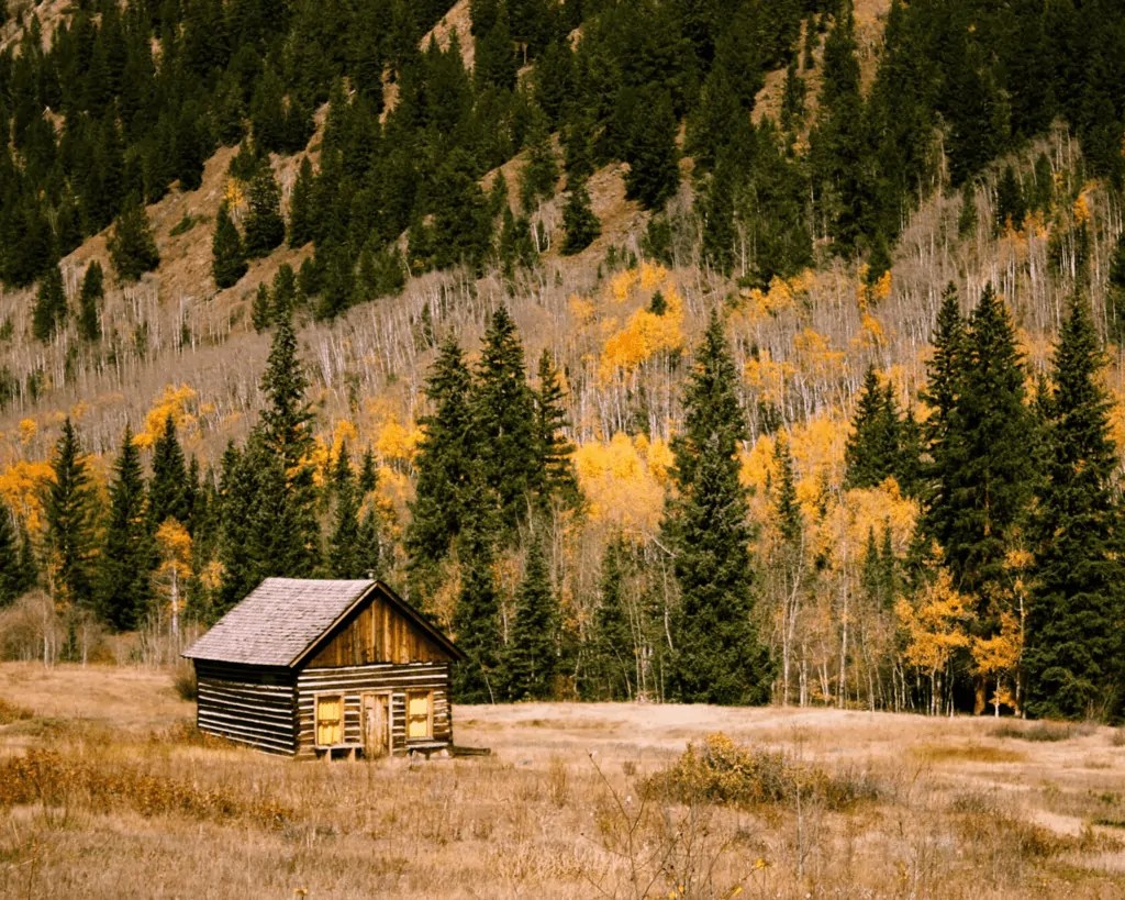 133 Wonderfully Woodsy Cabin Names for Your Peaceful Hideout or Vacation Rental History Fangirl