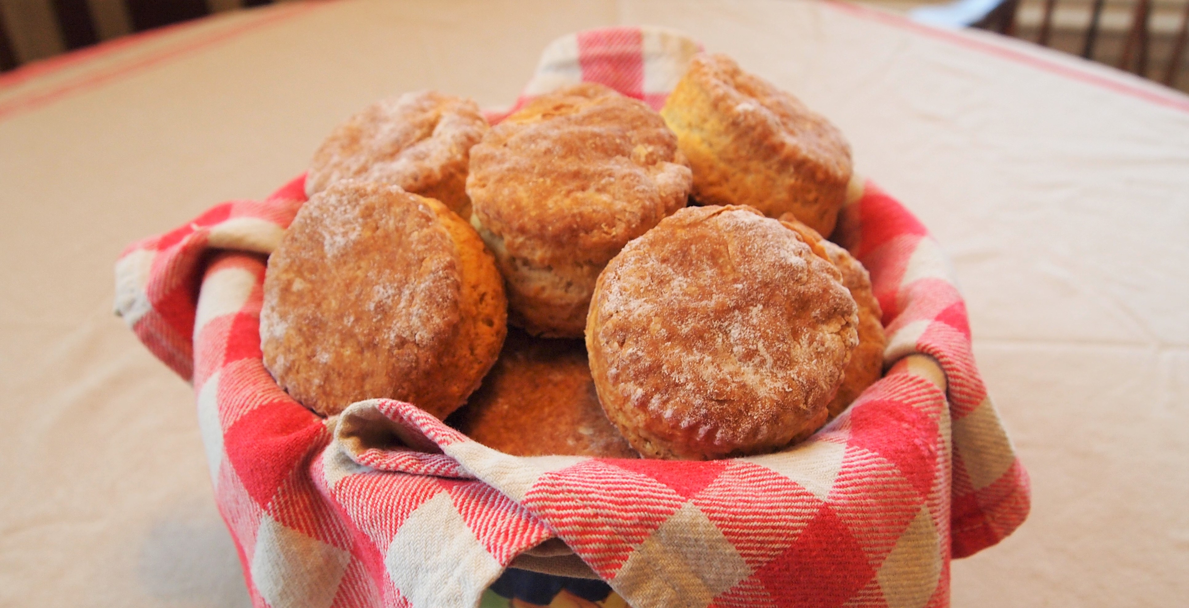 Buttermilk Biscuits History in the Making
