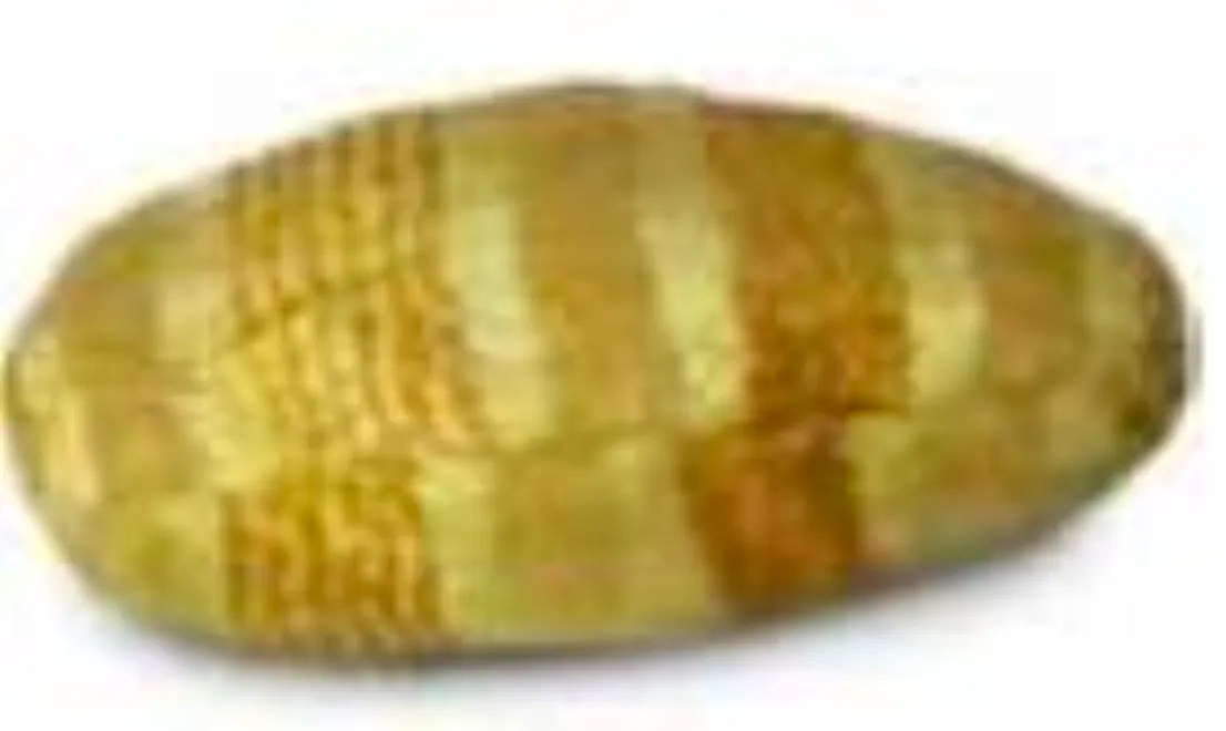 The Hacky Sack Origin Its Ancient Beginnings