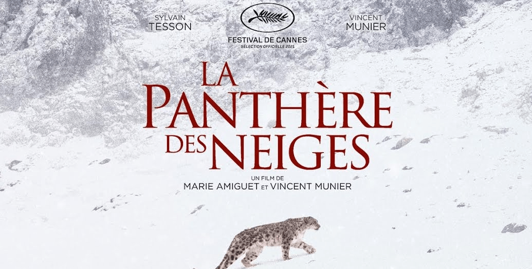 "La pantera delle nevi" 3 nominations ai César 2022 per il docu film