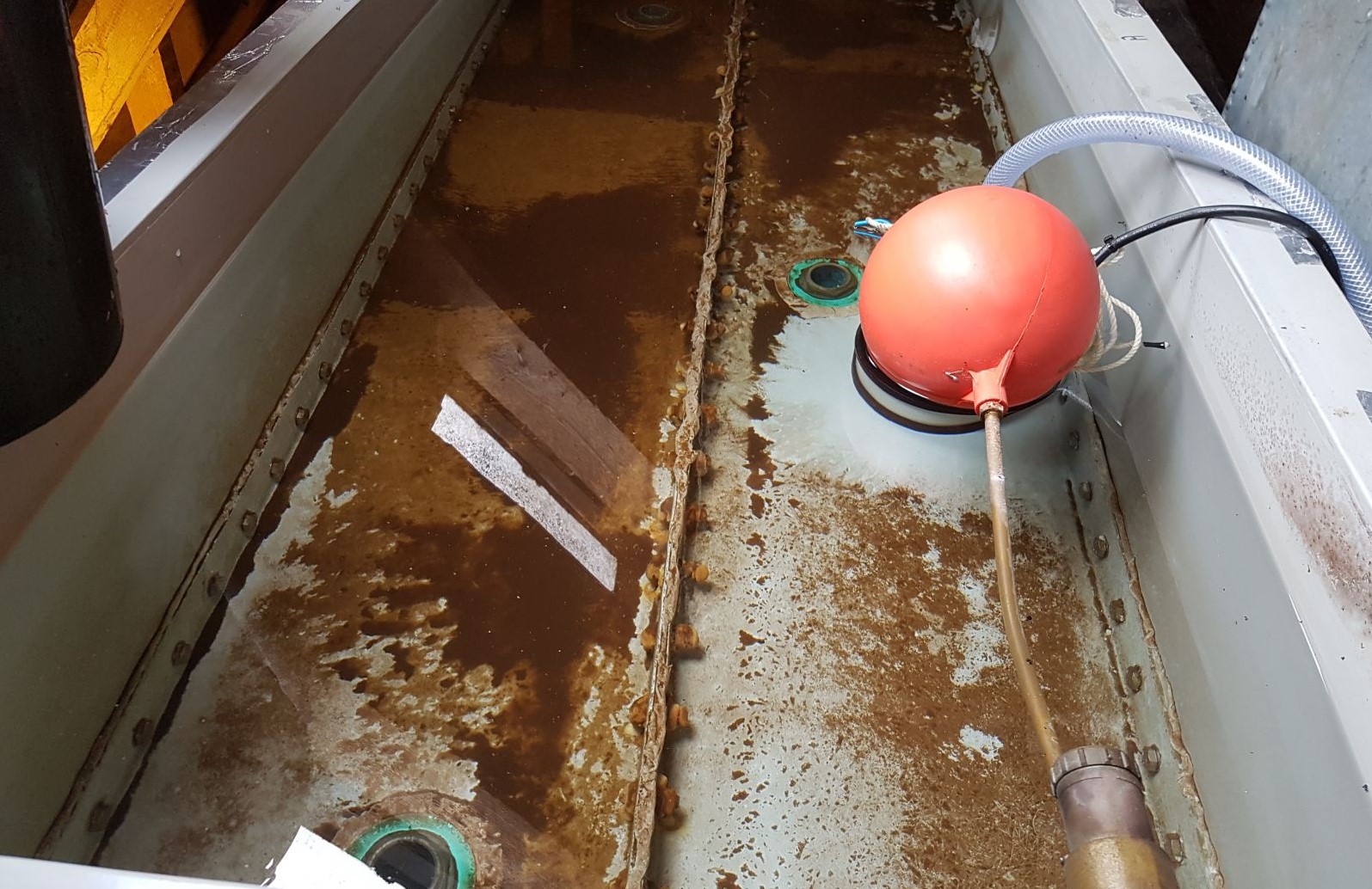 WHY YOU SHOULD CLEAN YOUR WATER TANK? HiTech 0502233864