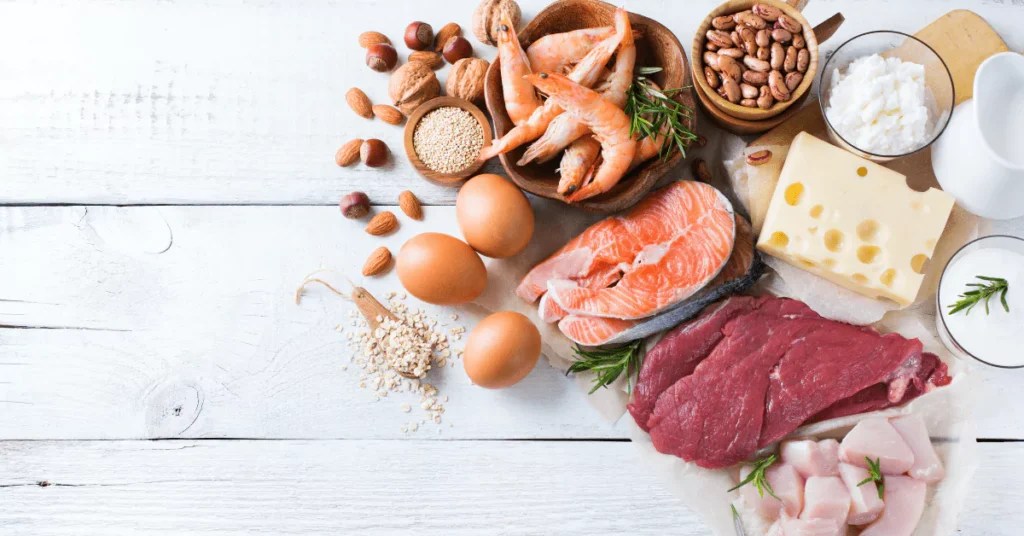 What Are the Building Blocks of Protein?
