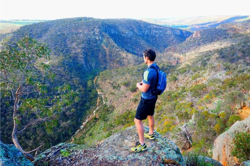 10 Best Hiking Trails Near Melbourne, Australia Hive Life Magazine