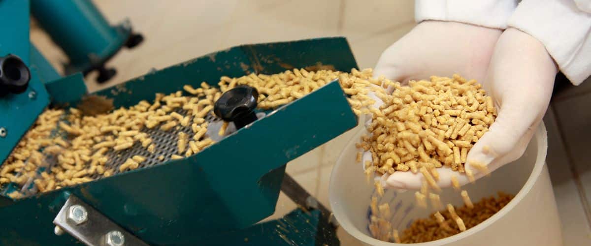Thailand Innovates in InsectBased Animal Feed Hive Life Magazine