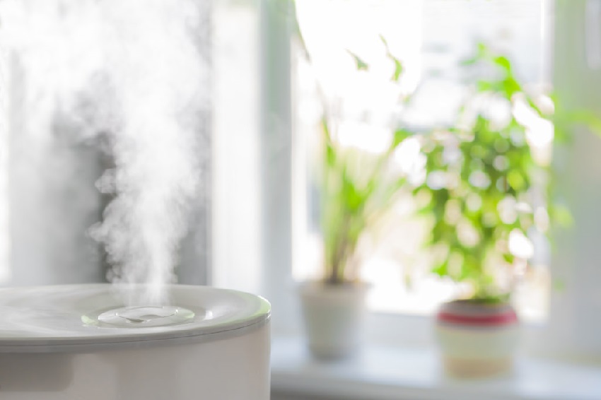 Do humidifiers help with congestion?